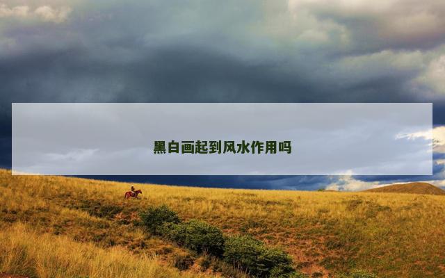 黑白画起到风水作用吗