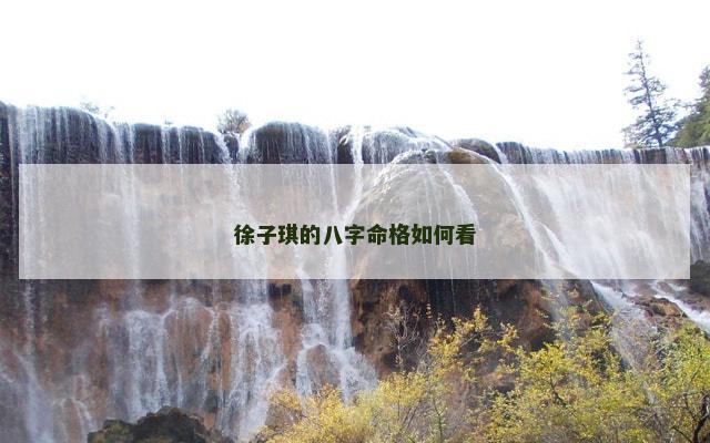 徐子琪的八字命格如何看