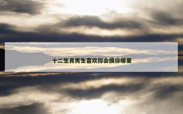 十二生肖男生喜欢你会摸你哪里