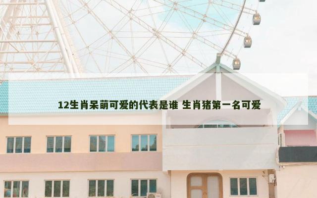 12生肖呆萌可爱的代表是谁 生肖猪第一名可爱