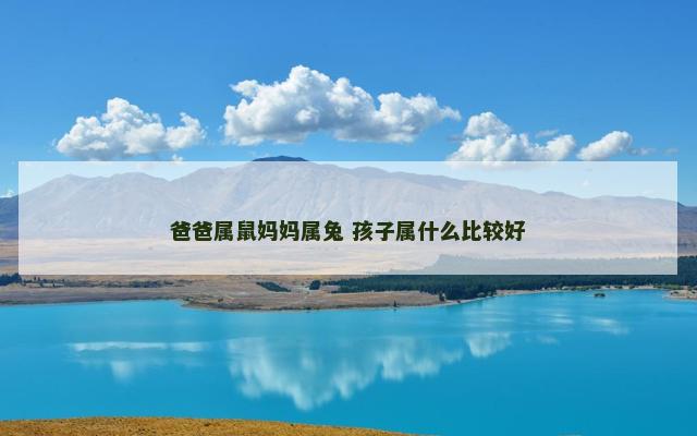 爸爸属鼠妈妈属兔 孩子属什么比较好