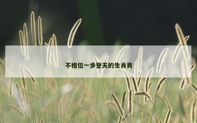 不相信一步登天的生肖男