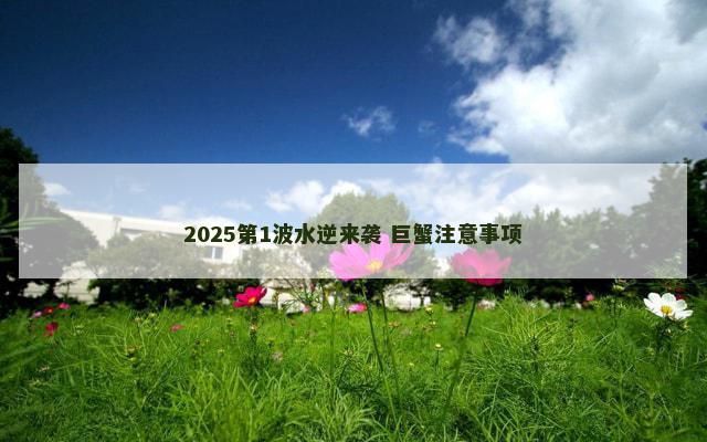 2025第1波水逆来袭 巨蟹注意事项