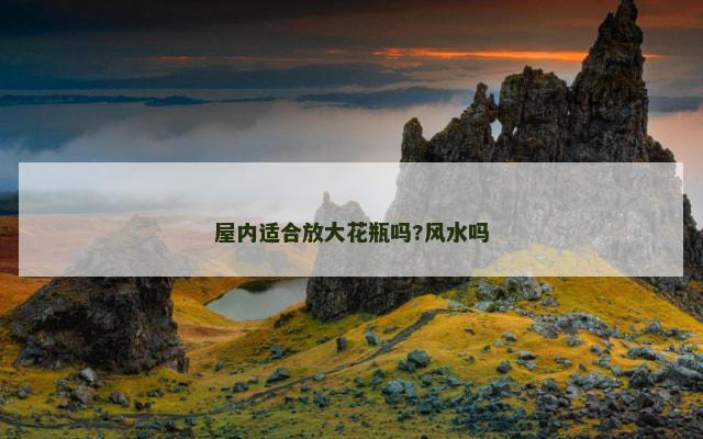 屋内适合放大花瓶吗?风水吗