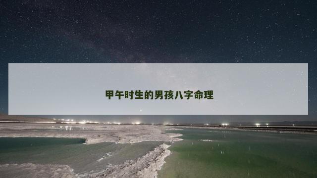 甲午时生的男孩八字命理