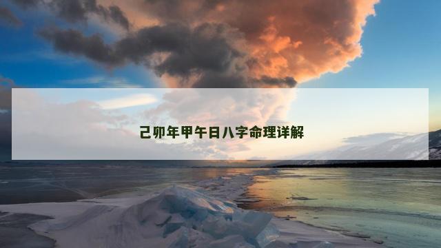 己卯年甲午日八字命理详解