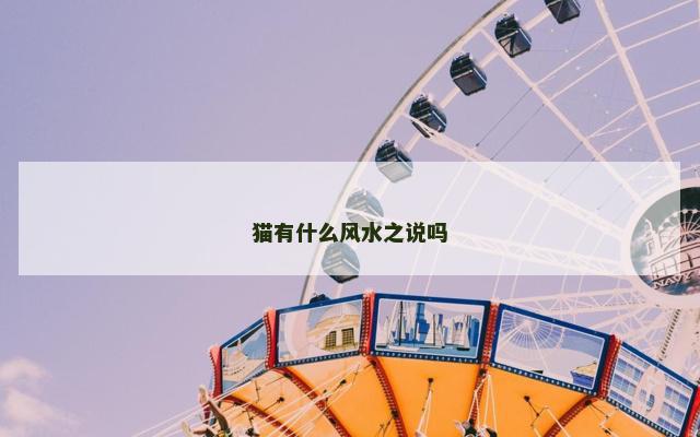 猫有什么风水之说吗