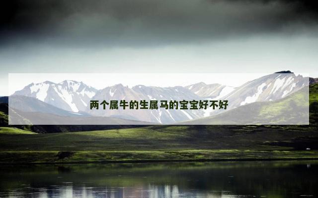 两个属牛的生属马的宝宝好不好