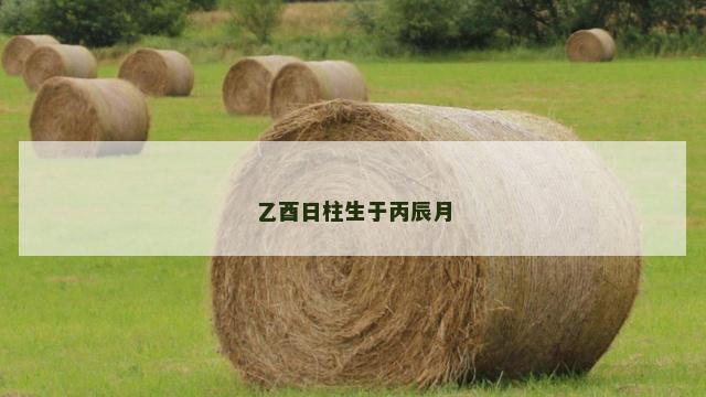 乙酉日柱生于丙辰月