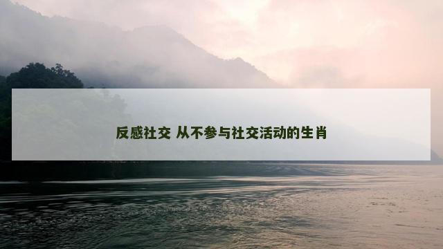 反感社交 从不参与社交活动的生肖