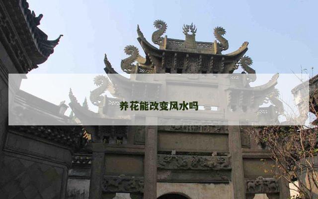 养花能改变风水吗