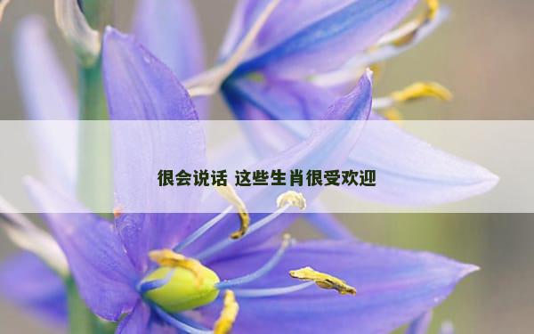 很会说话 这些生肖很受欢迎
