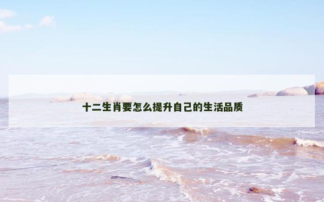 十二生肖要怎么提升自己的生活品质
