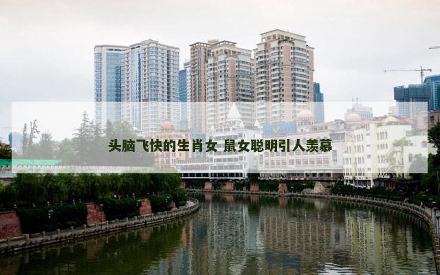 头脑飞快的生肖女 鼠女聪明引人羡慕