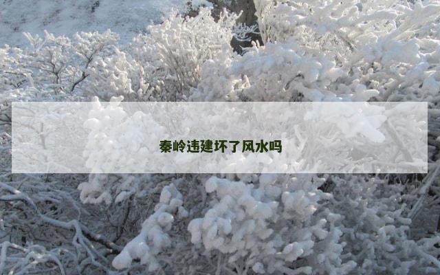 秦岭违建坏了风水吗