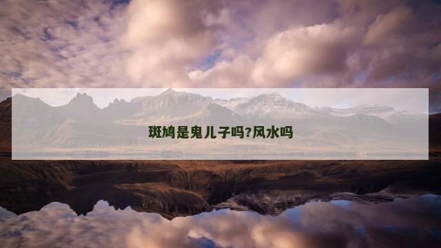 斑鸠是鬼儿子吗?风水吗