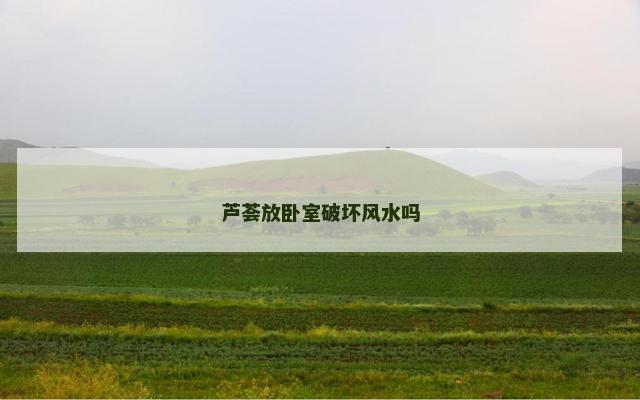 芦荟放卧室破坏风水吗