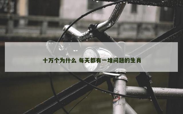 十万个为什么 每天都有一堆问题的生肖