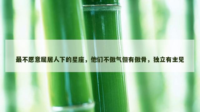 最不愿意屈居人下的星座，他们不傲气但有傲骨，独立有主见