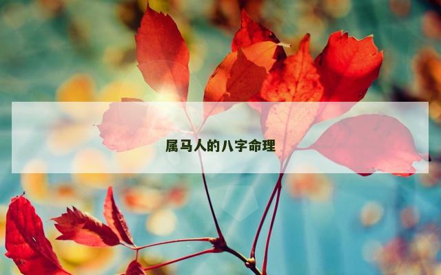 属马人的八字命理