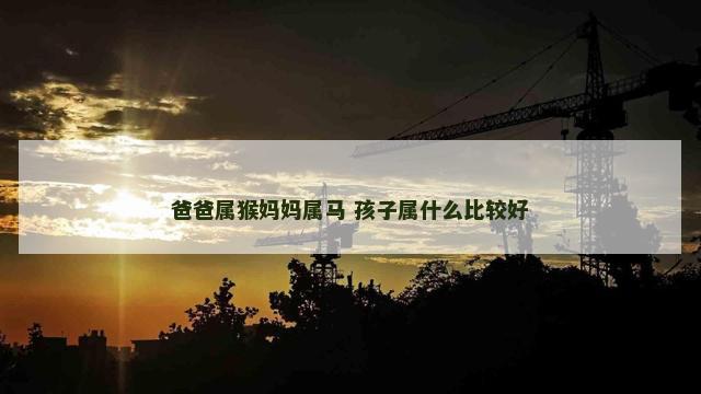 爸爸属猴妈妈属马 孩子属什么比较好