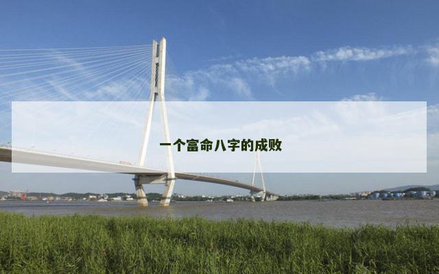 一个富命八字的成败
