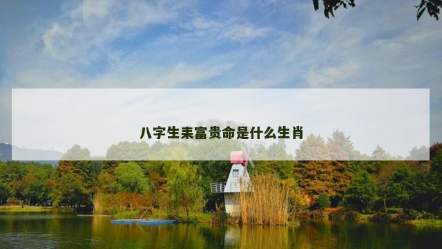 八字生耒富贵命是什么生肖