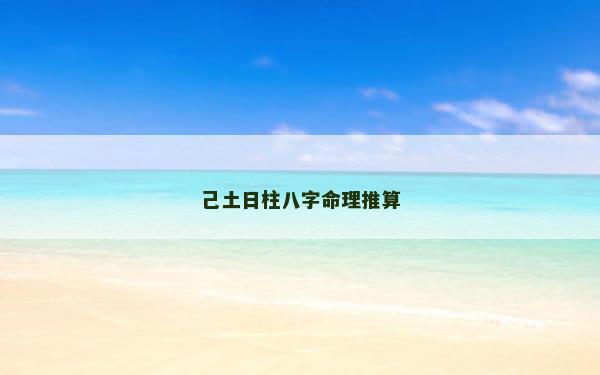 己土日柱八字命理推算