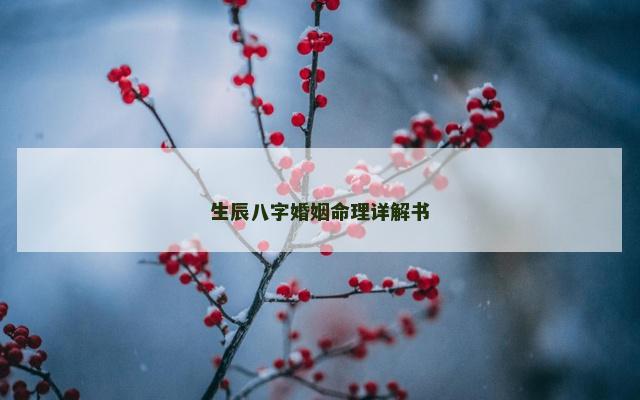 生辰八字婚姻命理详解书