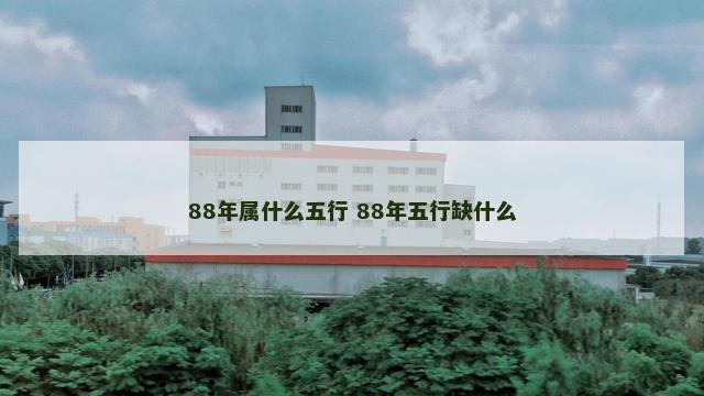 88年属什么五行 88年五行缺什么