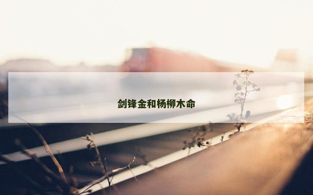 剑锋金和杨柳木命