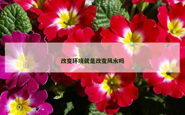 改变环境就是改变风水吗