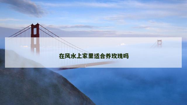 在风水上家里适合养玫瑰吗