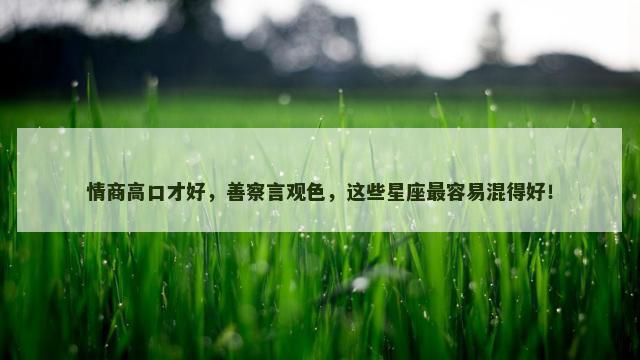 情商高口才好，善察言观色，这些星座最容易混得好！