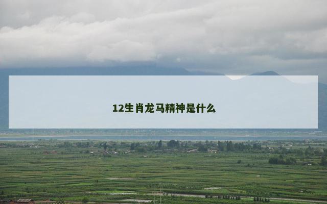 12生肖龙马精神是什么
