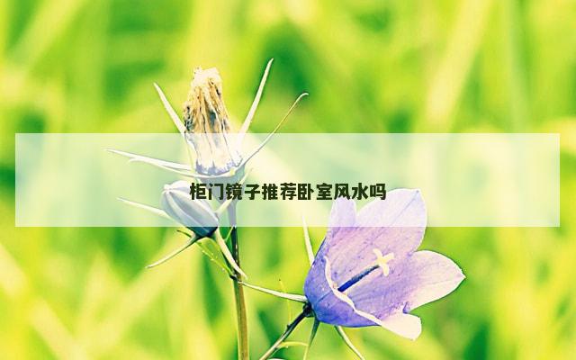 柜门镜子推荐卧室风水吗