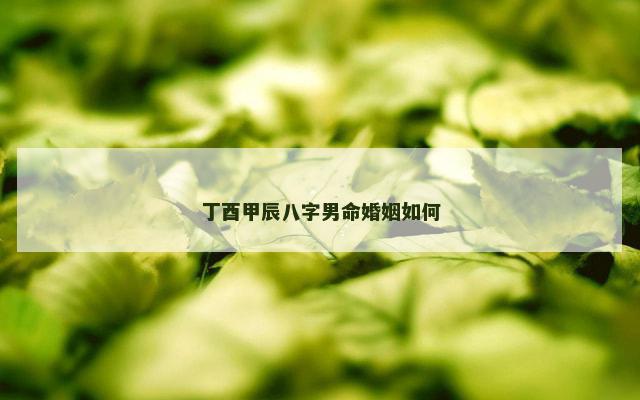 丁酉甲辰八字男命婚姻如何