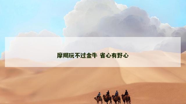 摩羯玩不过金牛 省心有野心