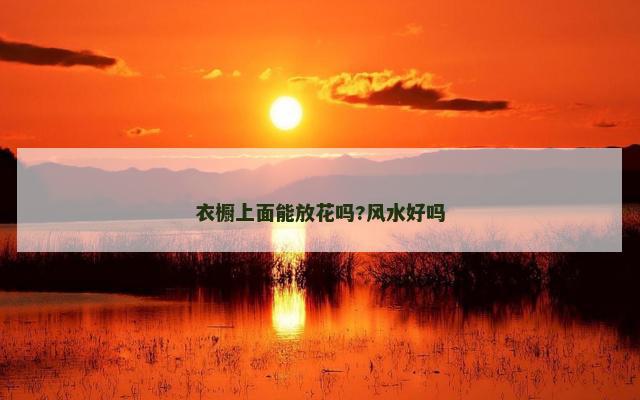 衣橱上面能放花吗?风水好吗