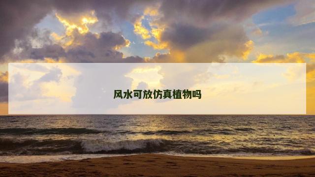 风水可放仿真植物吗