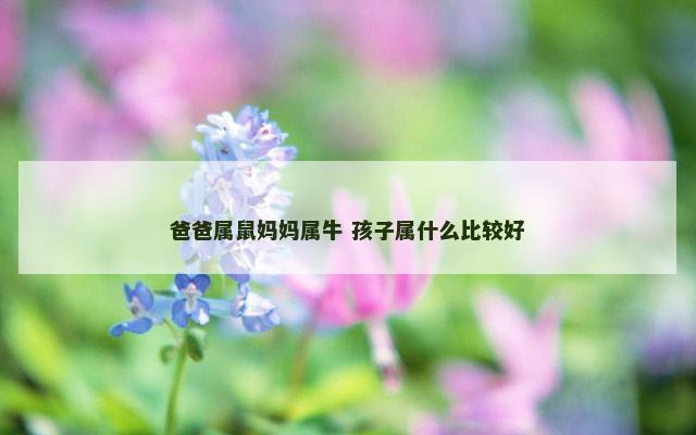 爸爸属鼠妈妈属牛 孩子属什么比较好