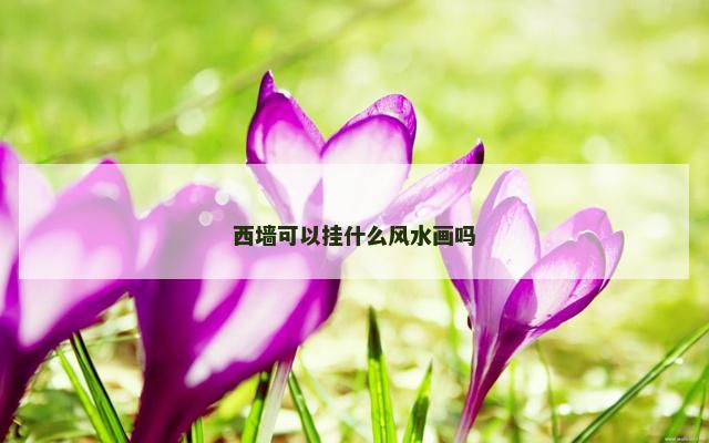 西墙可以挂什么风水画吗
