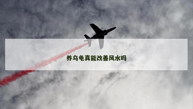 养乌龟真能改善风水吗