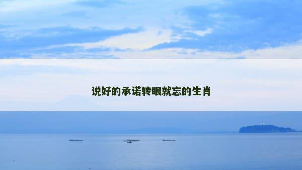 说好的承诺转眼就忘的生肖