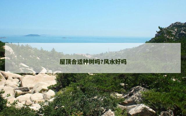 屋顶合适种树吗?风水好吗