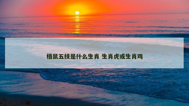 梧鼠五技是什么生肖 生肖虎或生肖鸡