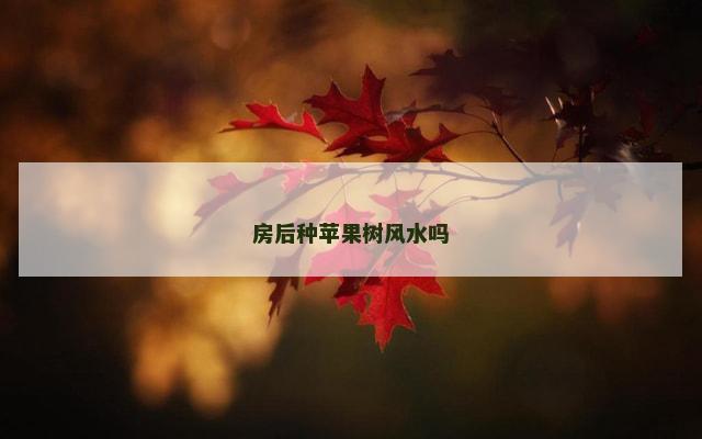 房后种苹果树风水吗