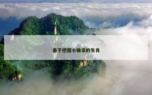 善于把握小确幸的生肖