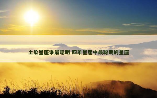 土象星座谁最聪明 四象星座中最聪明的星座