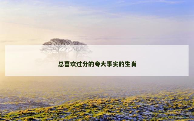总喜欢过分的夸大事实的生肖